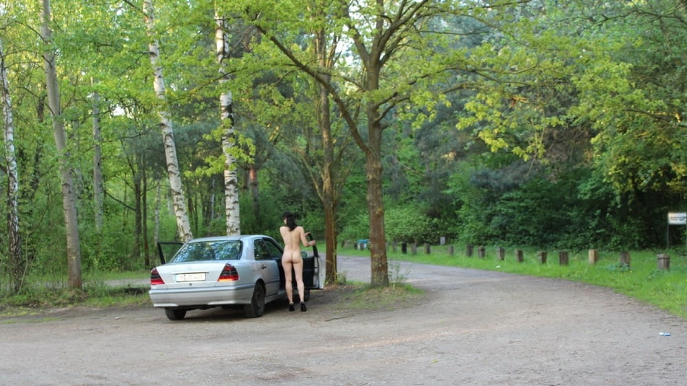 Dogging and public sluts 14 #91762524