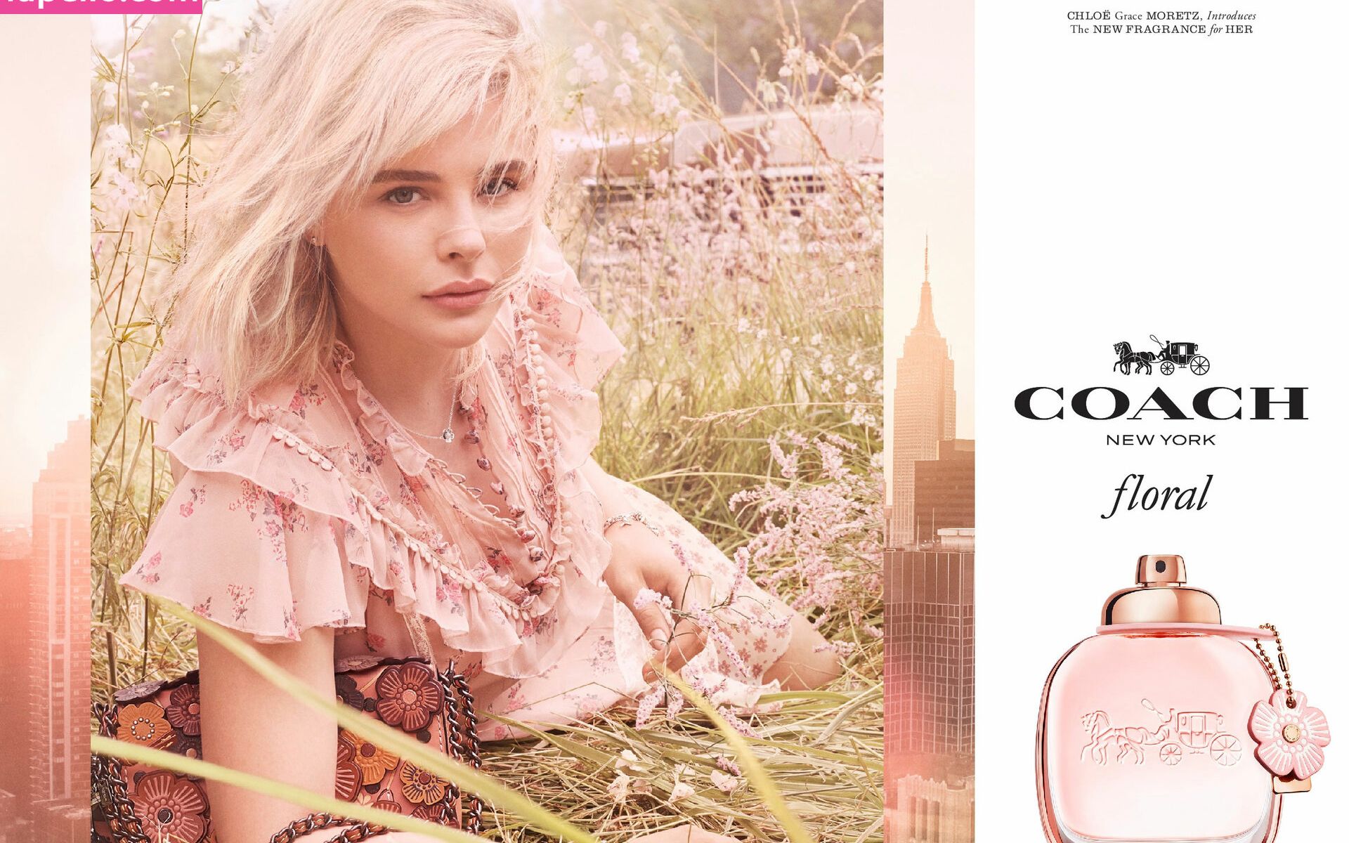 Chloë Grace Moretz desnuda #109345350