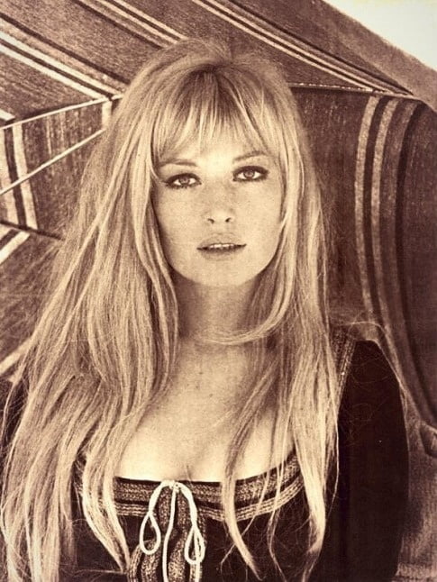 ベストセラー
 #81187260