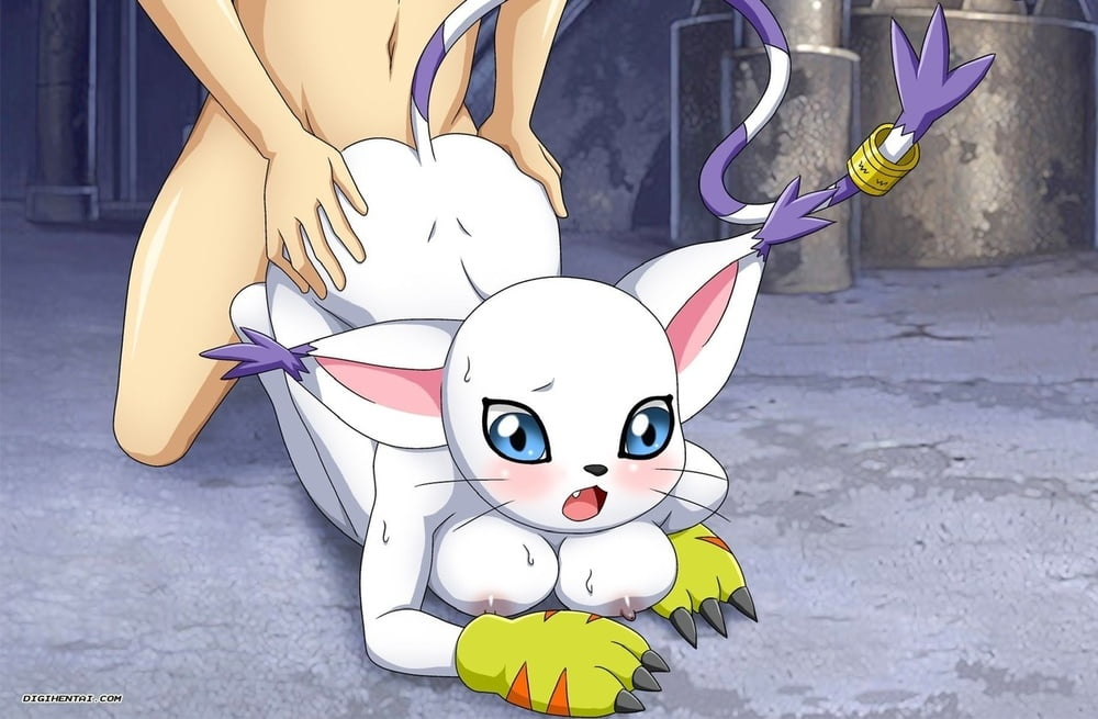 ソロスポライト：ガトモン
 #99735813