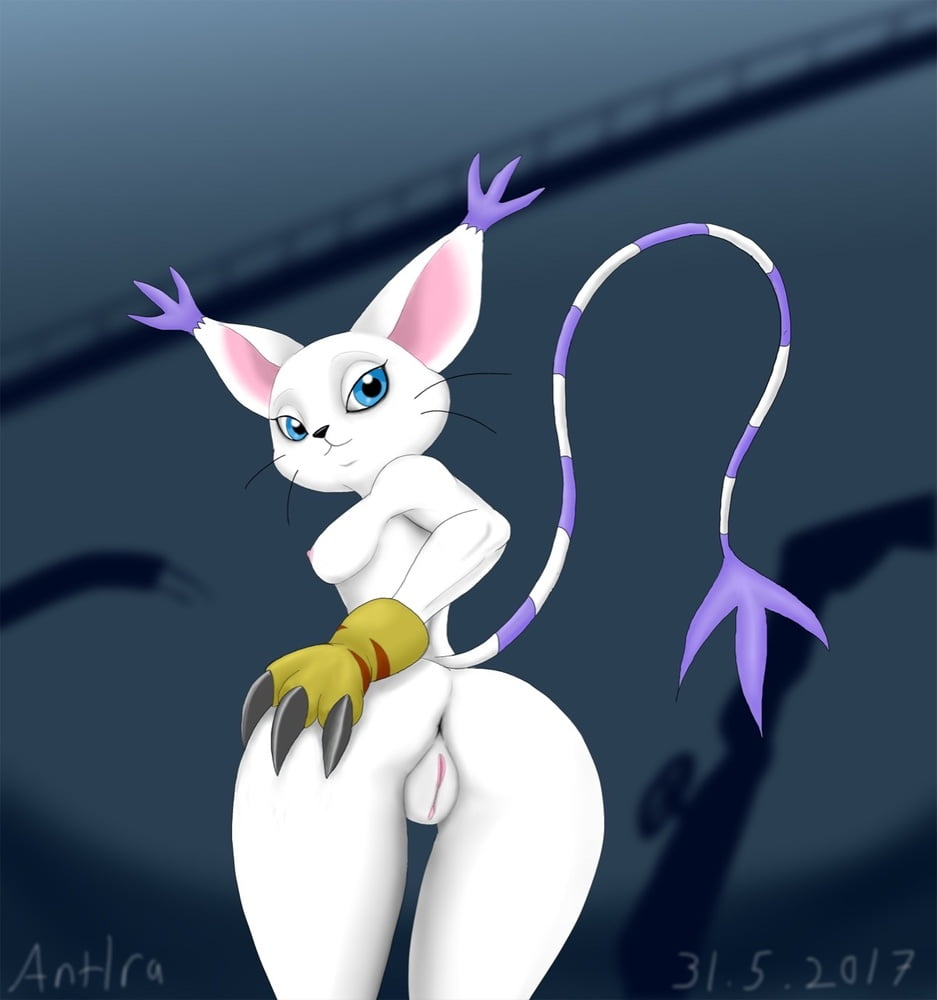 ソロスポライト：ガトモン
 #99735854