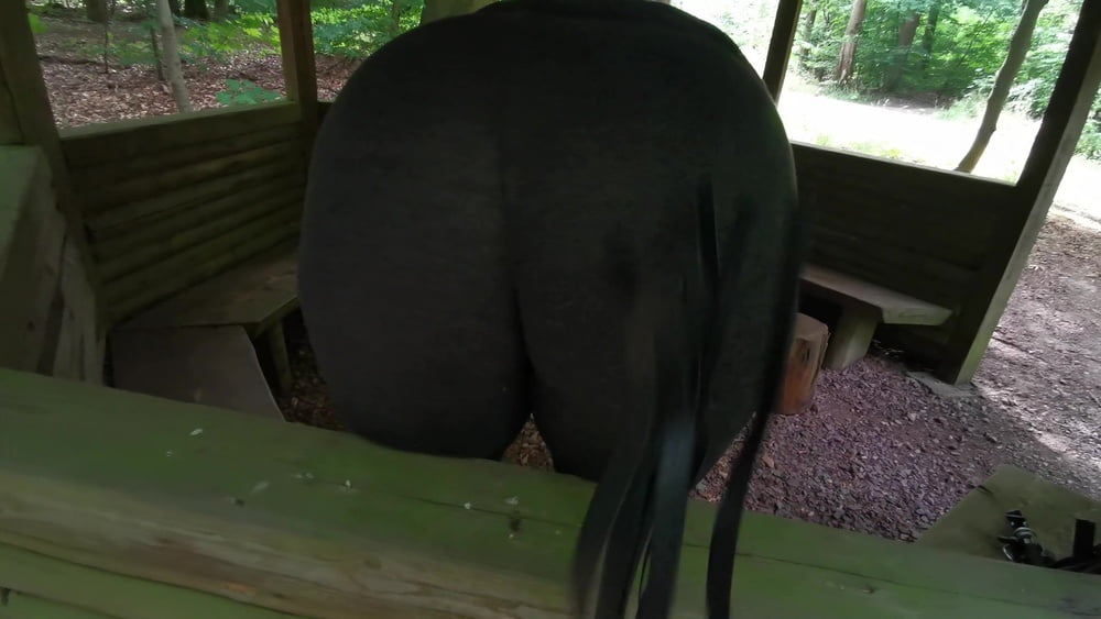 Slapping tits and ass in picnic hut #106728816