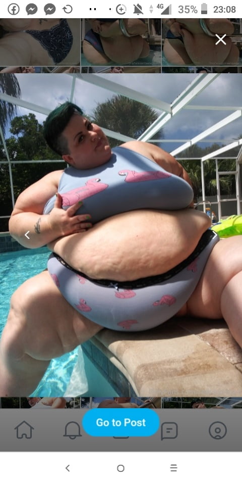 Master Hoodyman Fat pig Marisa Grasser . Number 338 . #91661339
