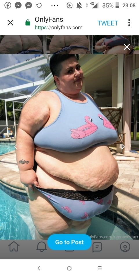 Master Hoodyman Fat pig Marisa Grasser . Number 338 . #91661345