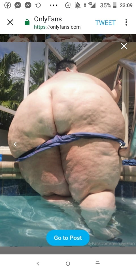 Master Hoodyman Fat pig Marisa Grasser . Number 338 . #91661357