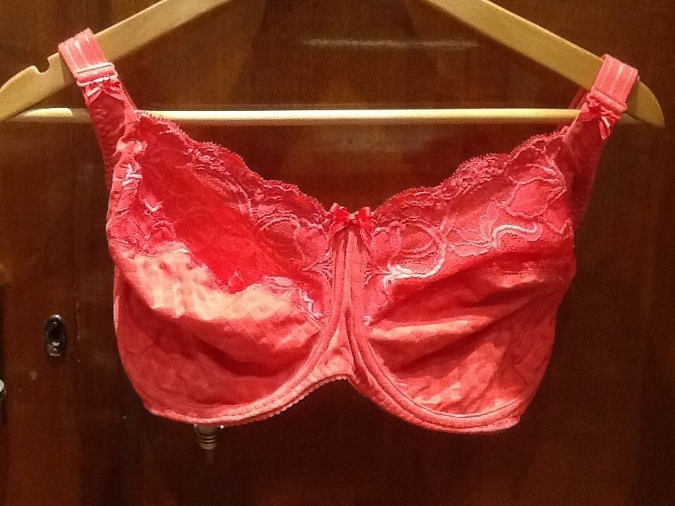 Used J-K cup bras #104268081