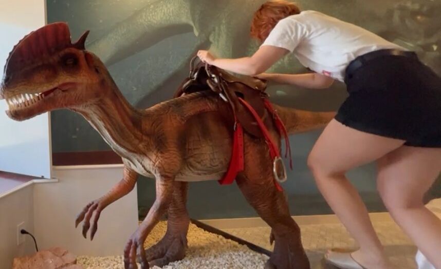 Tokidoki Traveller desnuda #108574252