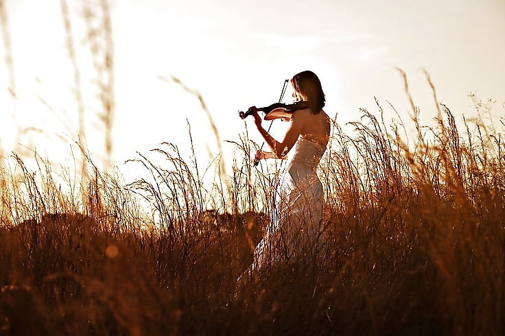 Some Stuff I Like 16 #92320585