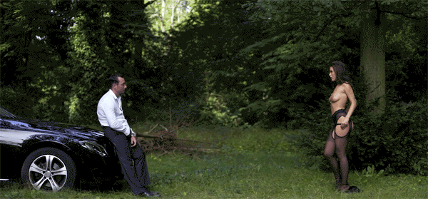 Onze collectie: Deel 5 #95330452