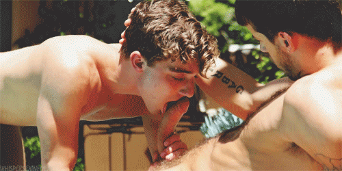 Onze collectie: Deel 5 #95330617