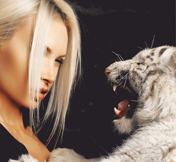 The Dom and Muse 8 #106443258