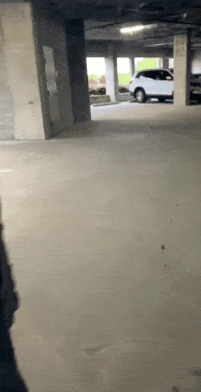 もっと公開
 #88545025