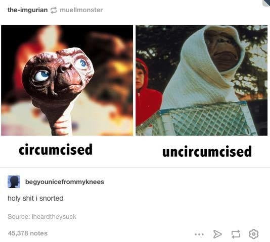 面白いもの
 #104898516