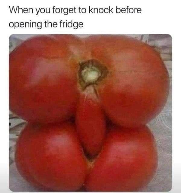 面白いもの
 #104898517