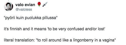 面白いもの
 #104898536