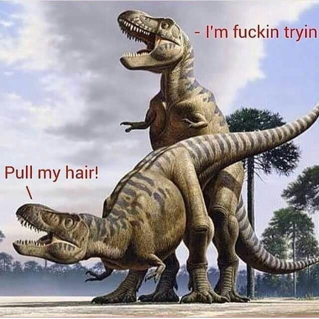 面白いもの
 #104898560