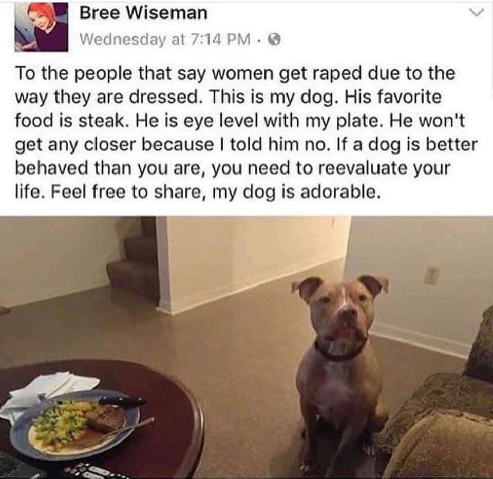 面白いもの
 #104898561