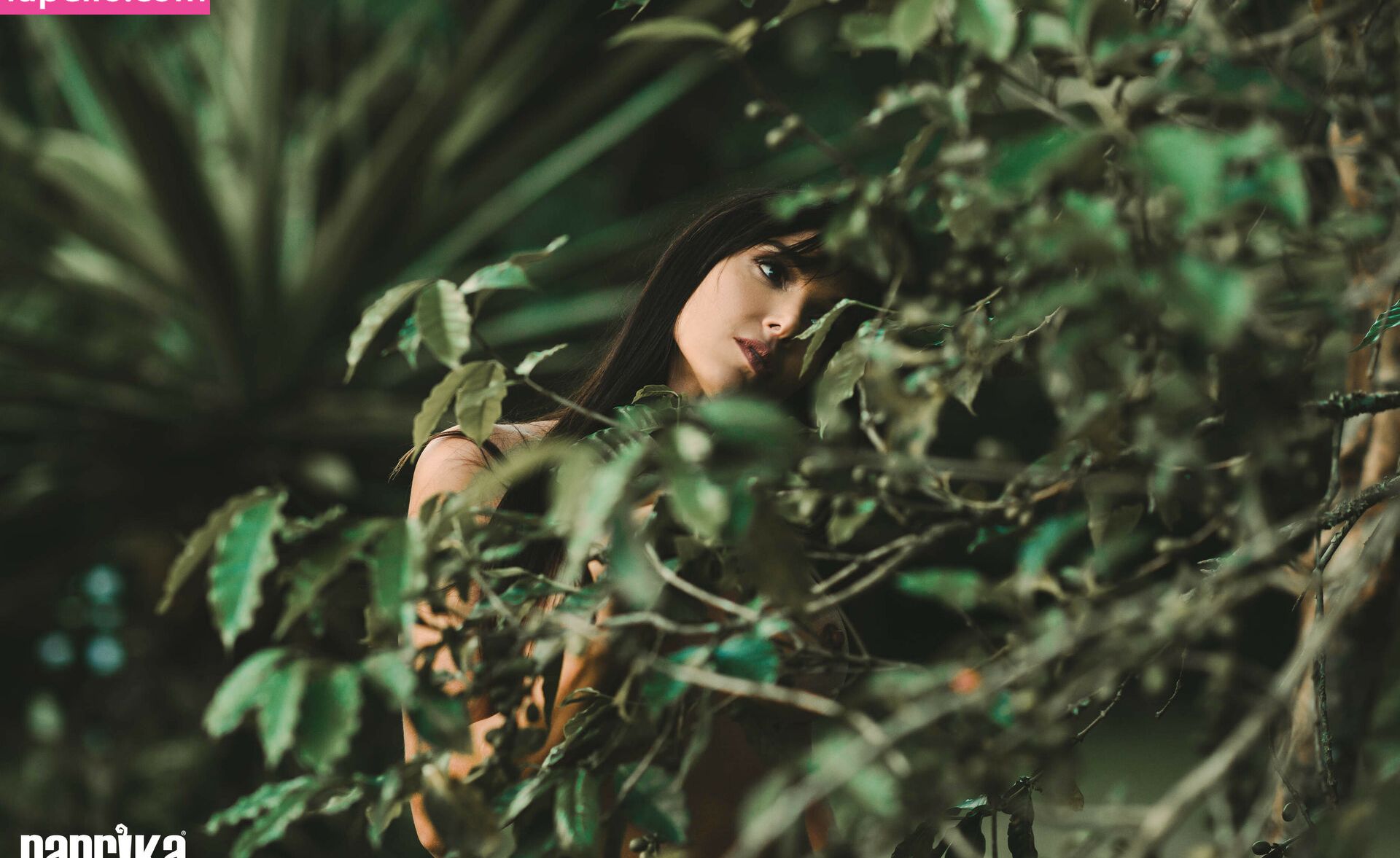 Paprika desnuda #108791906