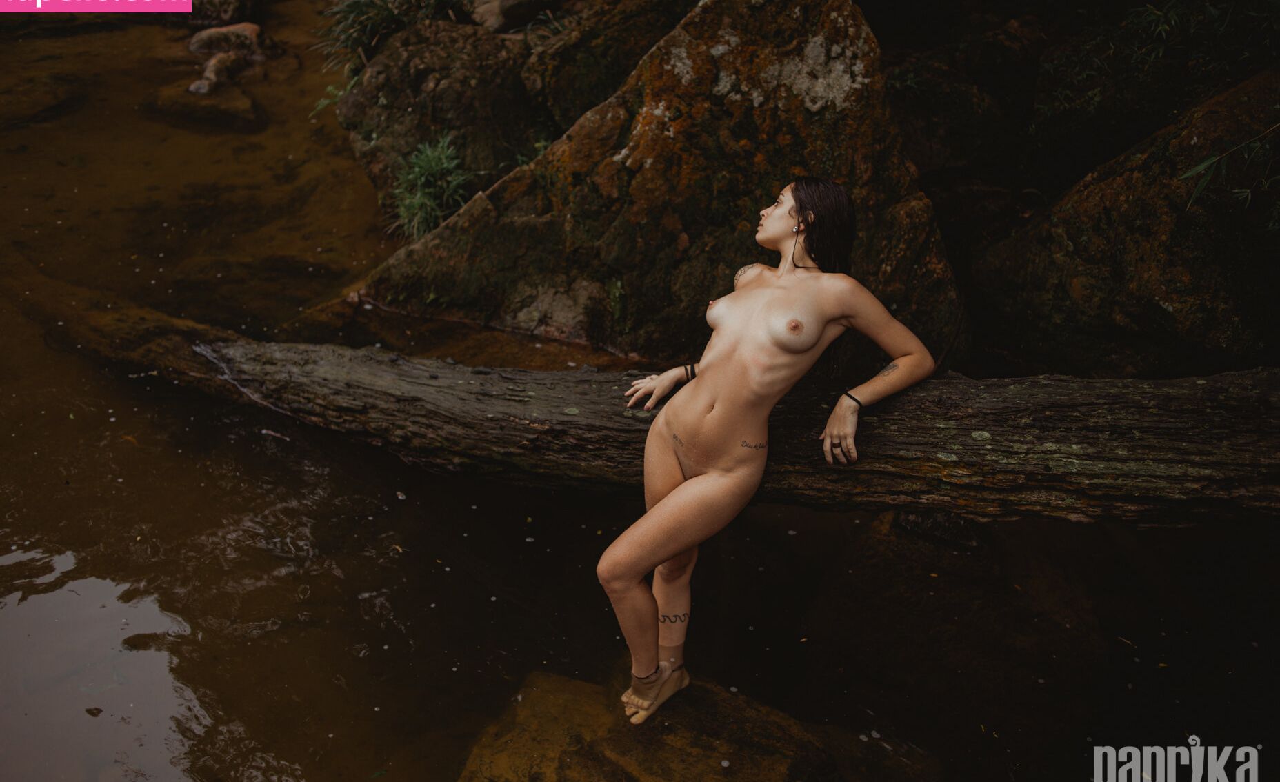 Paprika desnuda #108792482