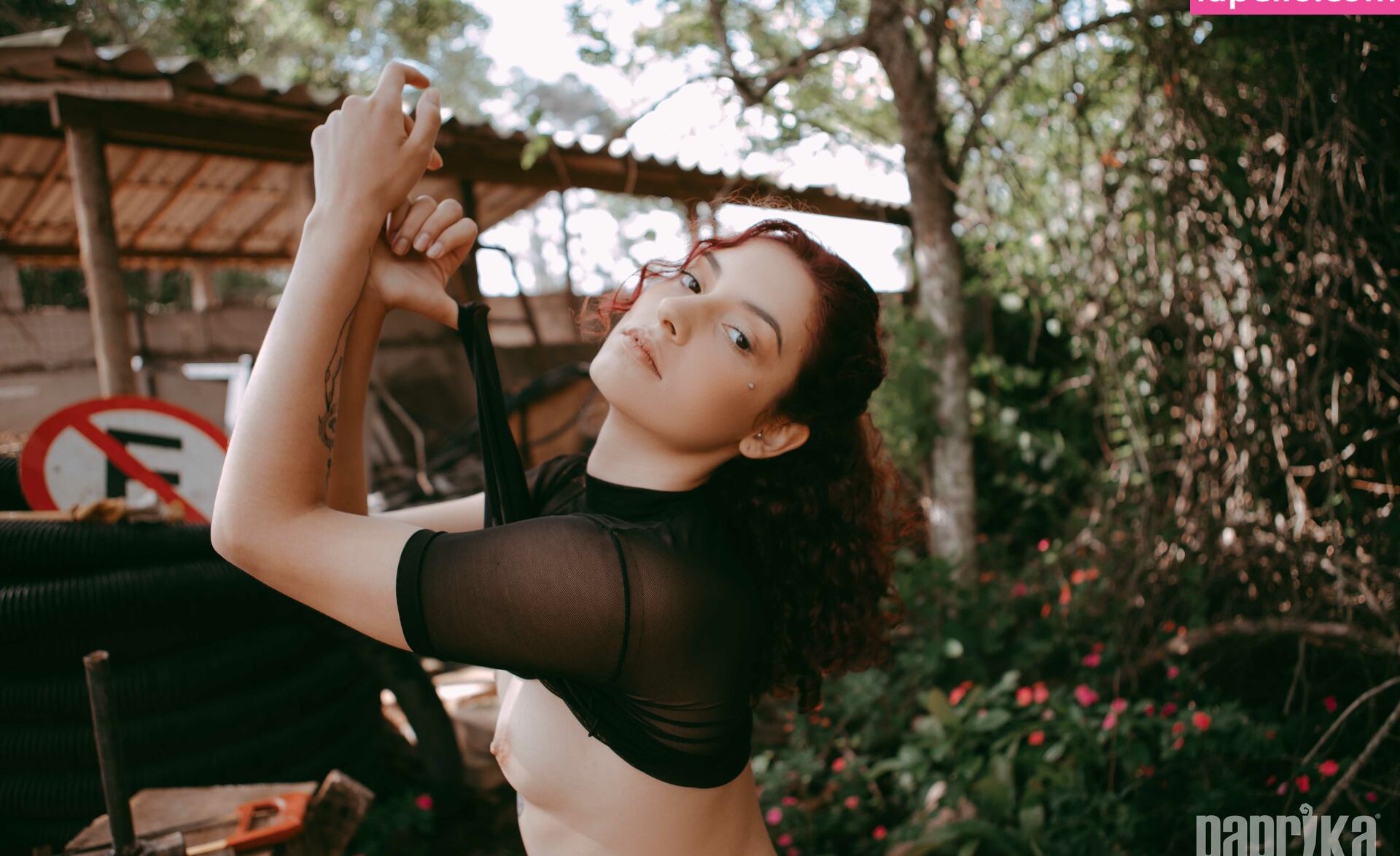 Paprika desnuda #108793196