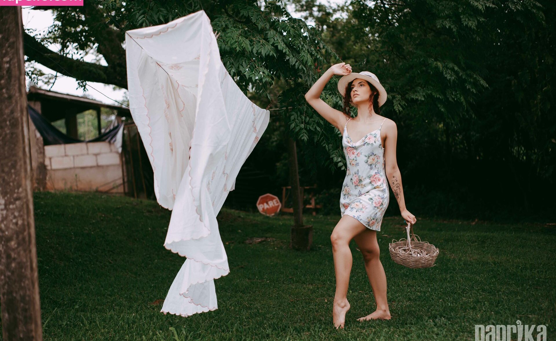 Paprika desnuda #108793417