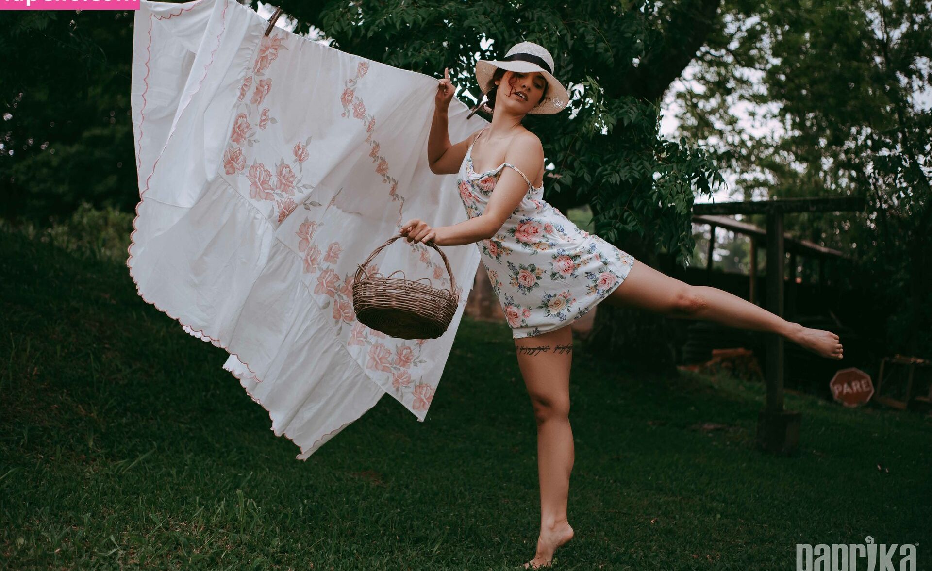 Paprika desnuda #108793420