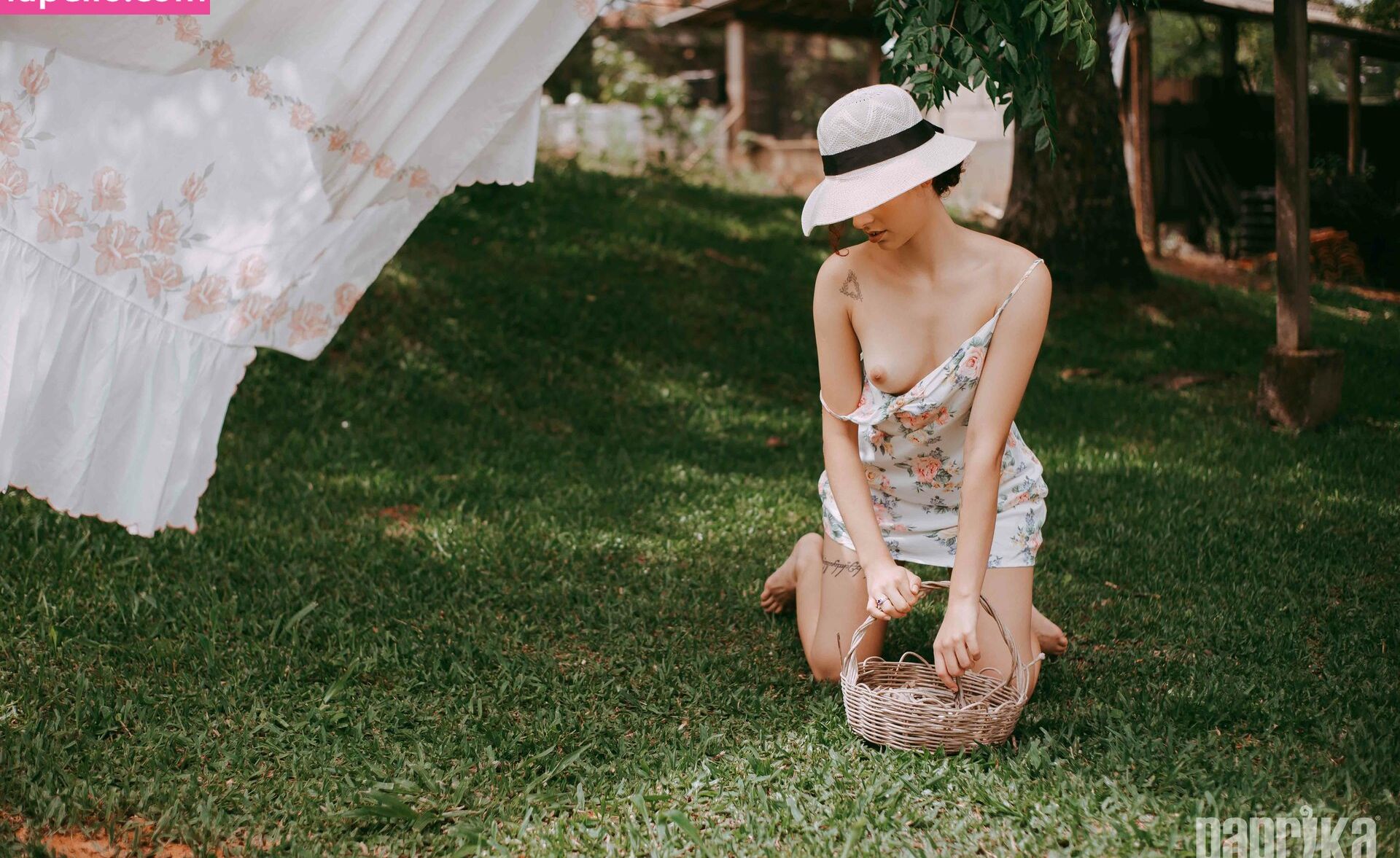 Paprika desnuda #108793427