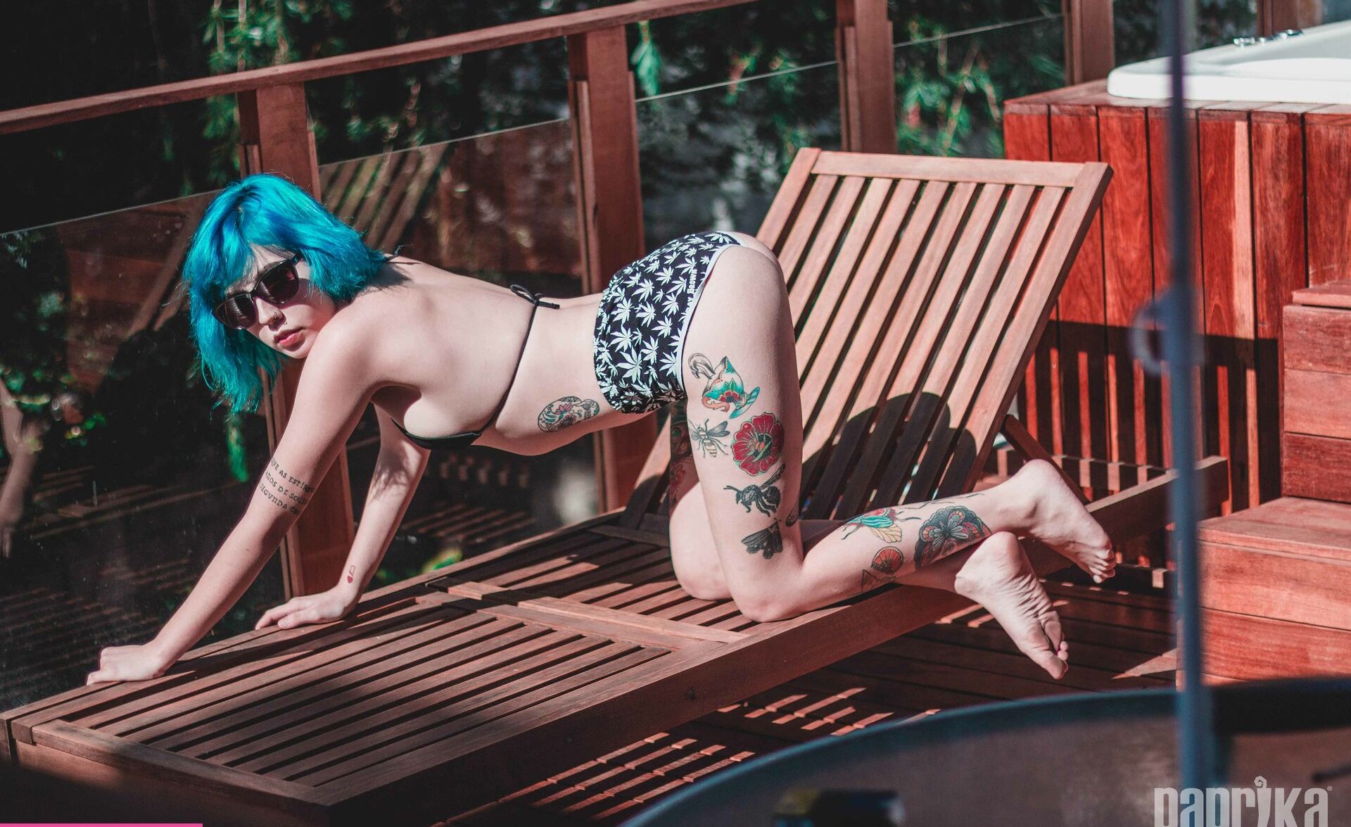 Paprika desnuda #108793896