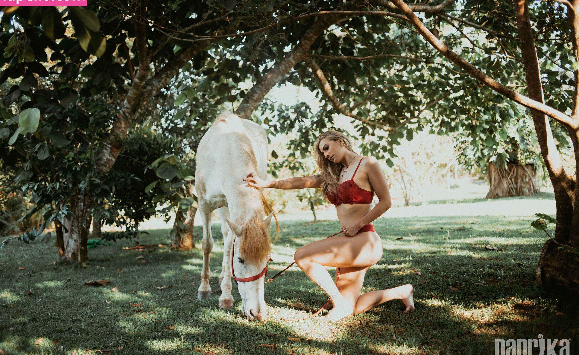 Paprika desnuda #108795563