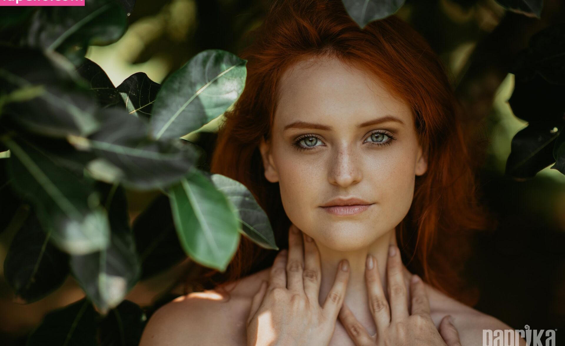 Paprika desnuda #108795614