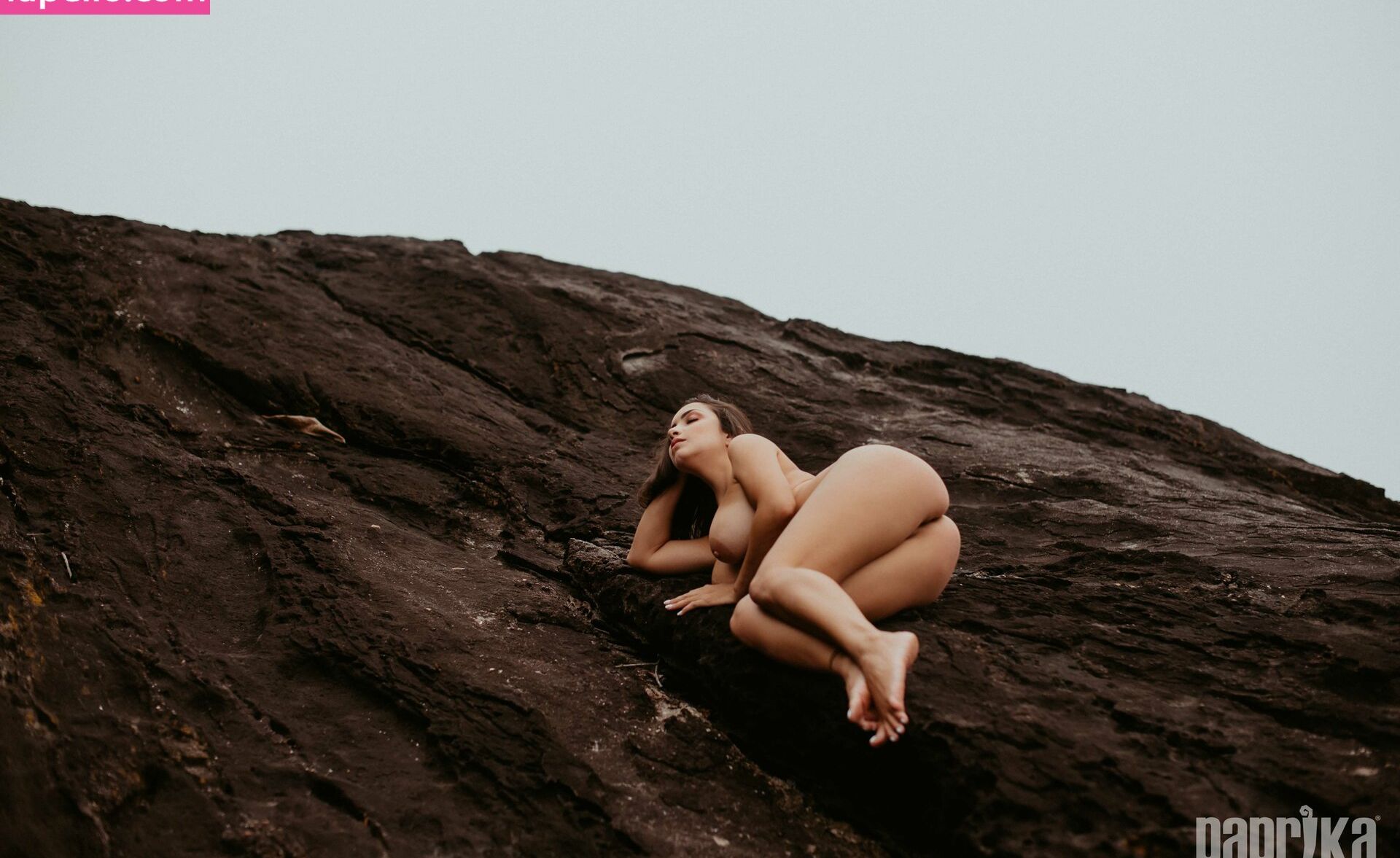 Paprika desnuda #108795677