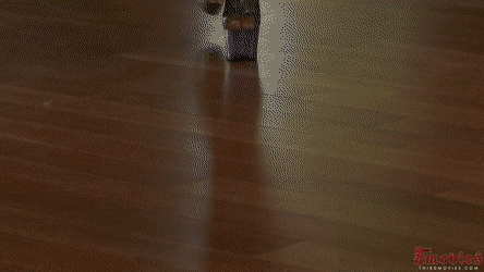 All Sizes, All Sexy - Walking That Walk #105199910
