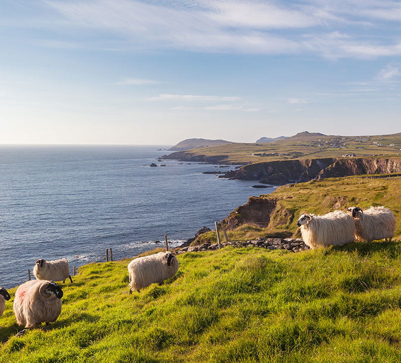 Tolle mädchen + bilder aus irland
 #97730241