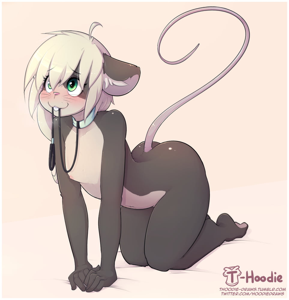 Furry Girls: Sexy Rodent Girls #100430587