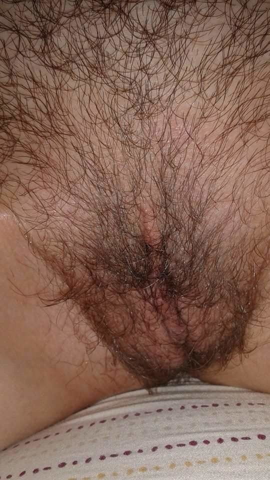 Close up hairy pussies
 #87925531