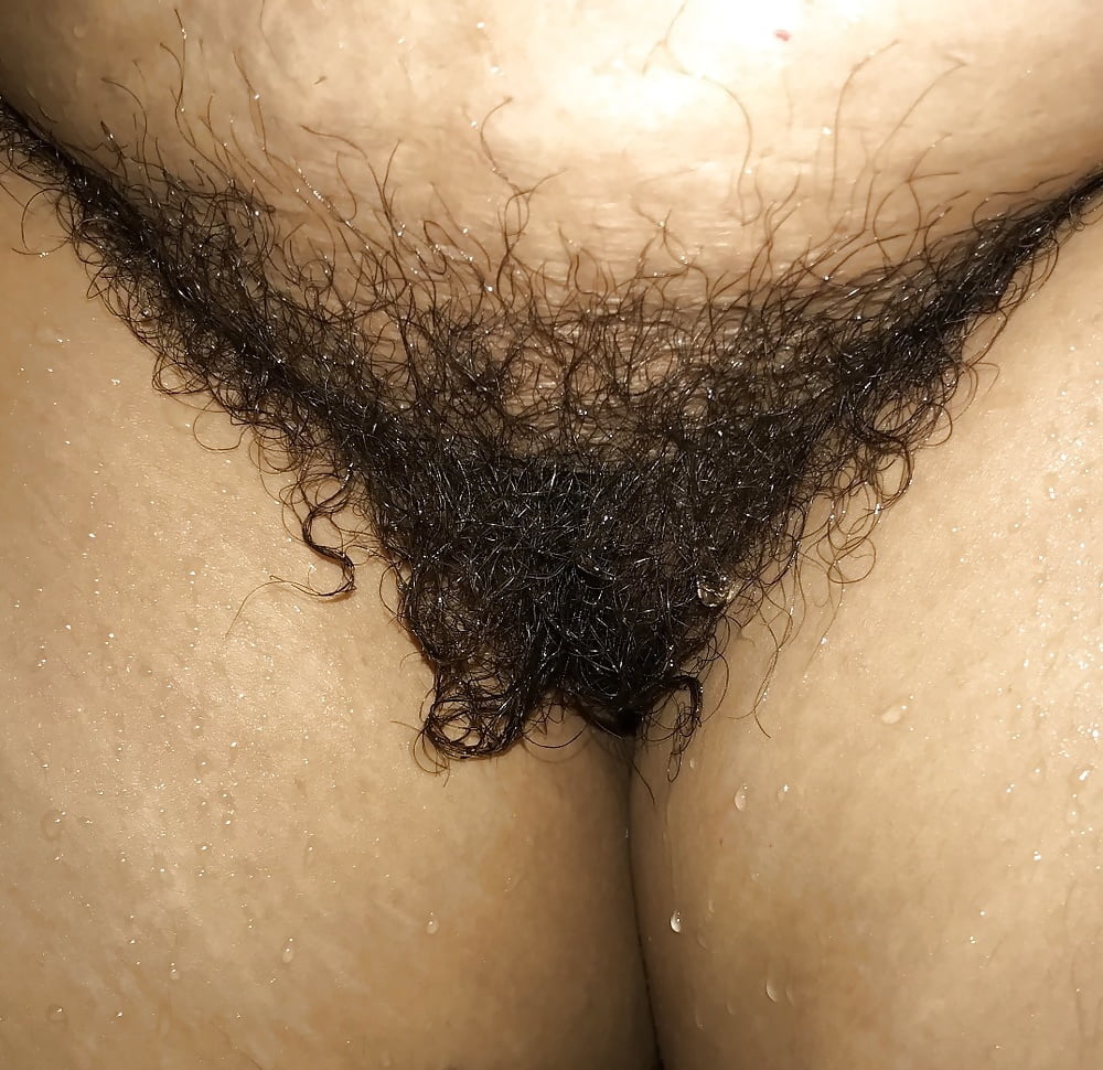 Close up hairy pussies
 #87925609