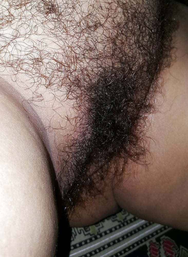 Close up hairy pussies
 #87925664