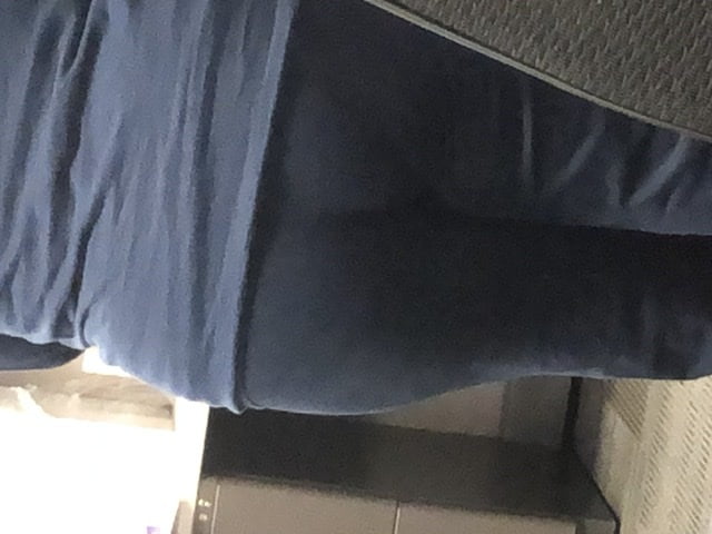 Awesome Coworker VPL!! #102542906