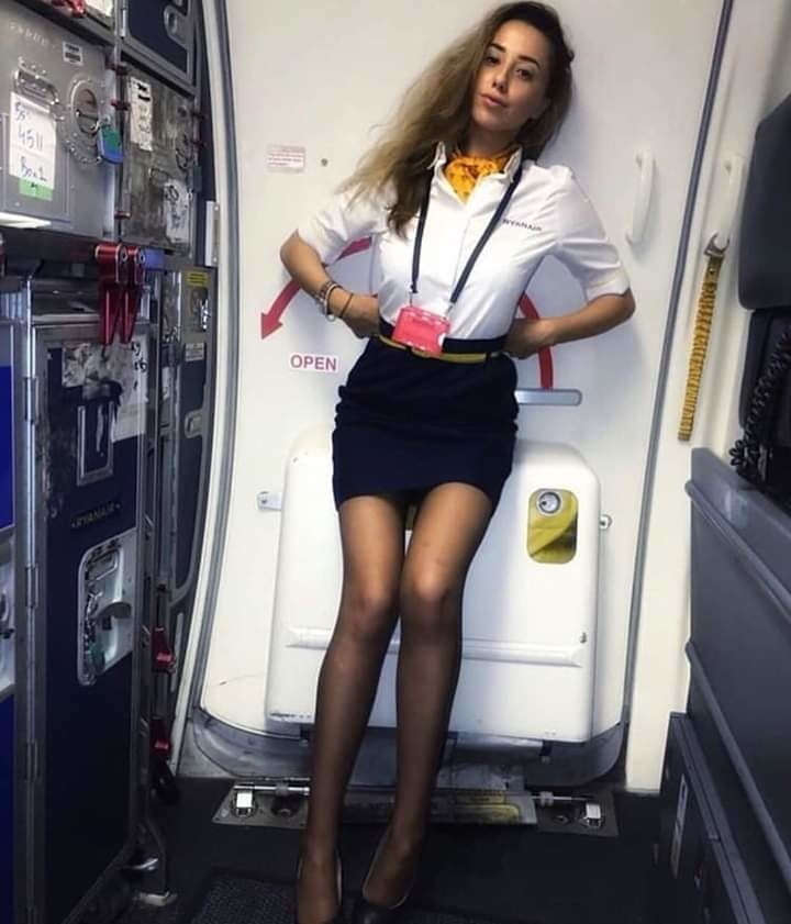 Cabin Crew - Mile High Hotties #92342003
