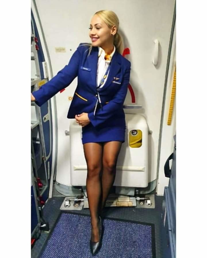Cabin Crew - Mile High Hotties #92342009