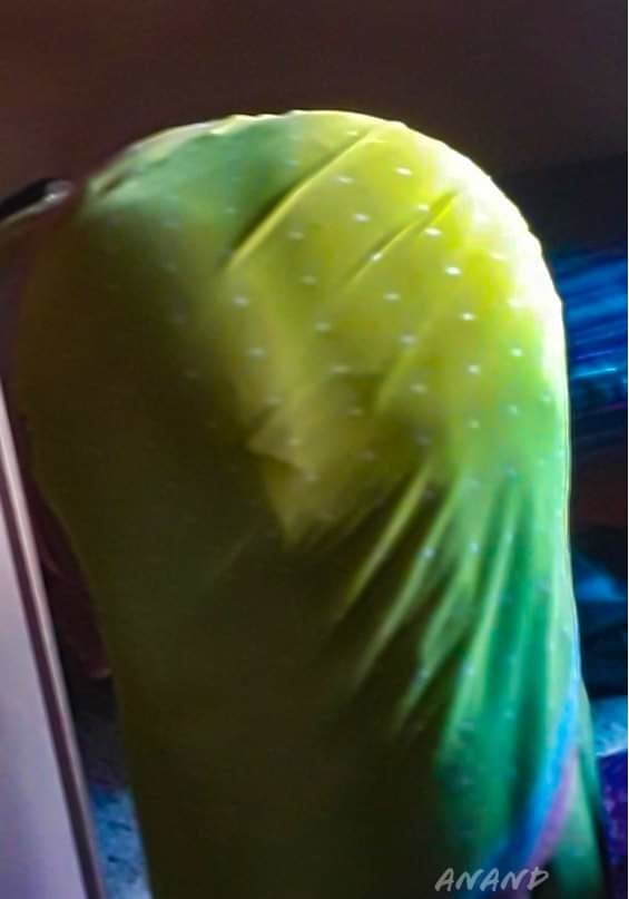 タミルのセクシーな女の子のショー 2020 (part:5)
 #91555289