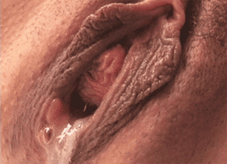 I Like Close-Ups 118 #88002440