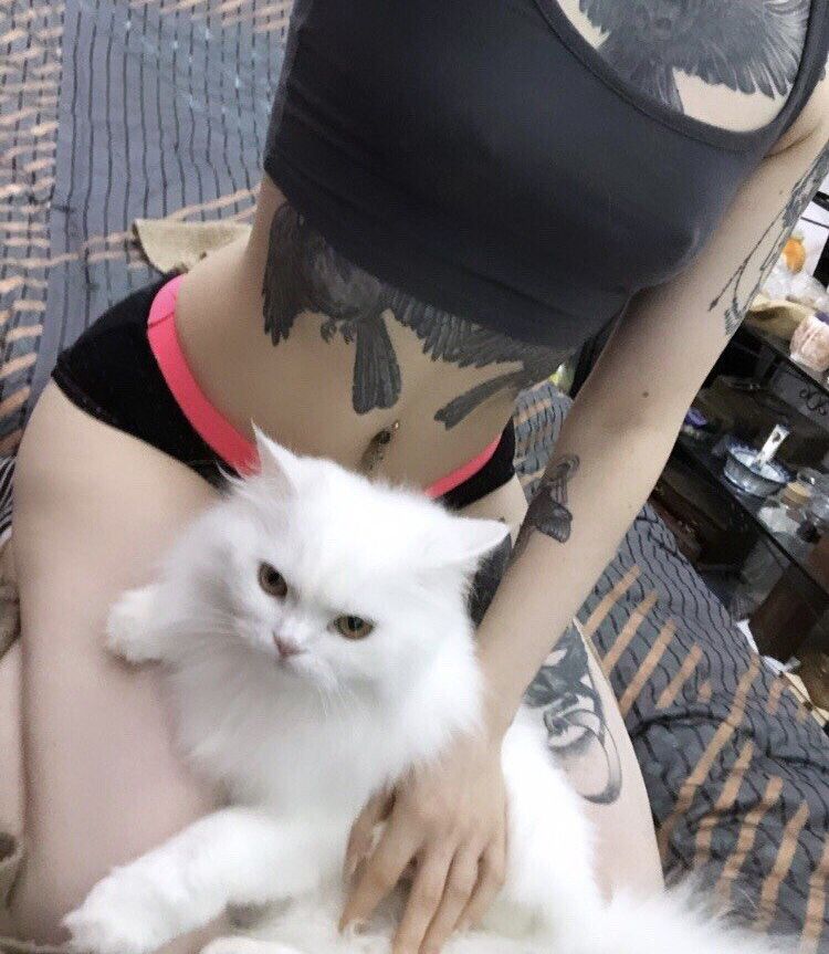 FaerieBlossom desnuda #109421617