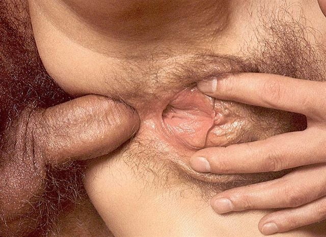 Diversión de fin de semana
 #105478758