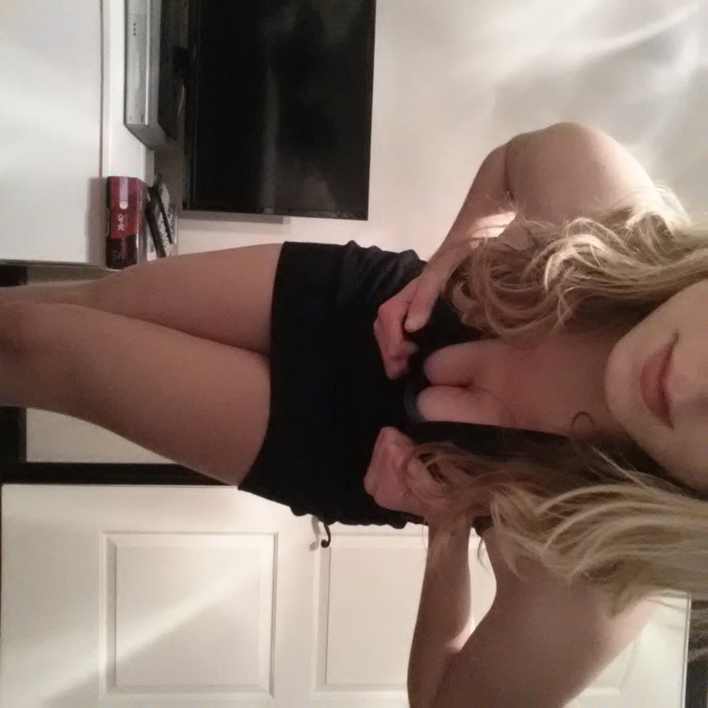 Blondie
 #101381056