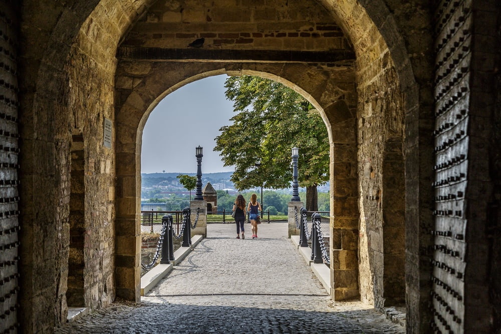 セルビアの女の子たち
 #101637340