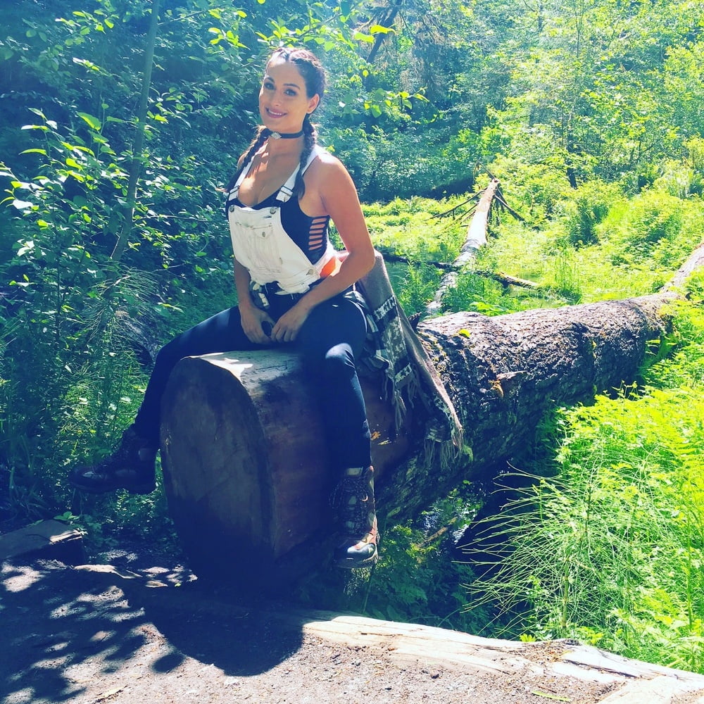 WWE Nikki Bella #102999318