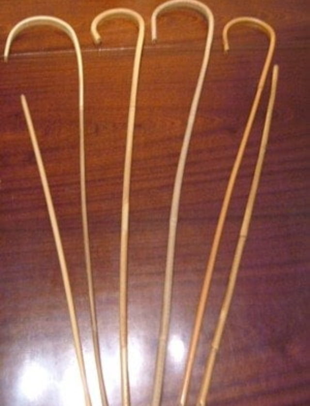 Dulce beso de la caña
 #94513229