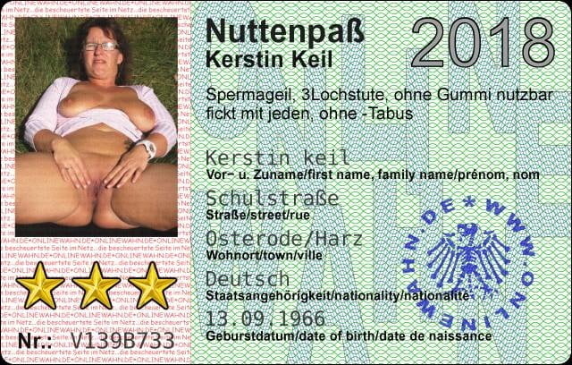 German ID Cards #94507320