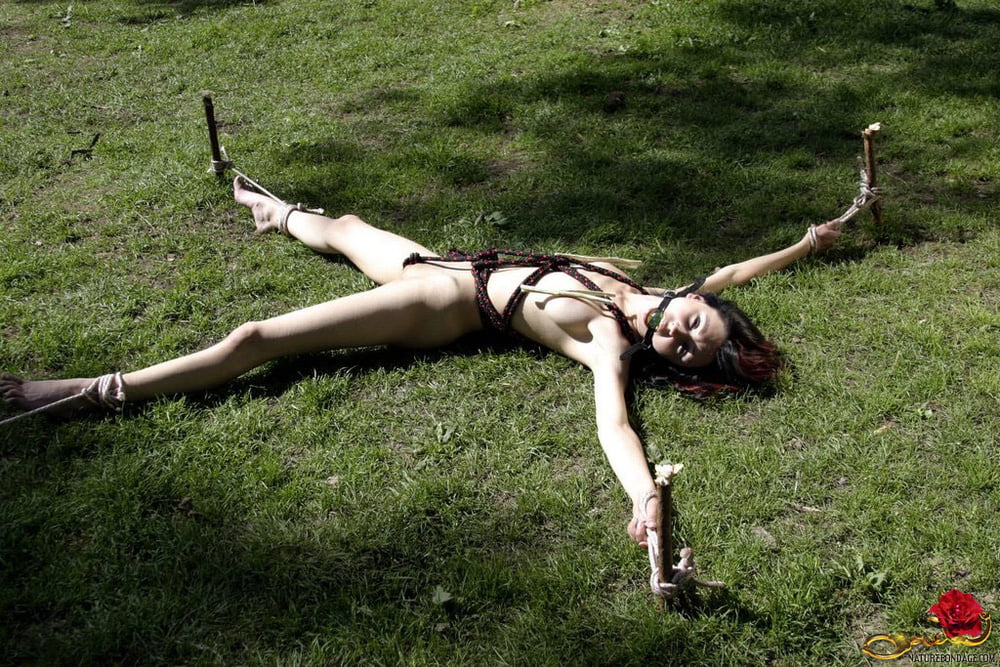 Staked Out #92738802